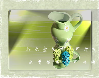怎么查信用卡可透支多少錢(qián)(怎么看信用卡可以透支多少)
