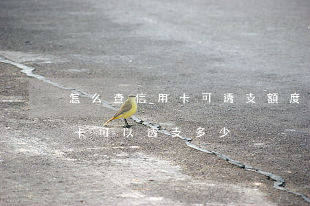怎么查信用卡可透支額度(怎么知道自己信用卡可以透支多少)