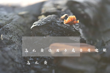 怎么查信用卡是否有逾期（信用卡逾期了怎么怎么查詢）