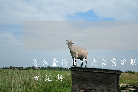怎么查信用卡是否有逾期（怎么查看信用卡有无逾期）