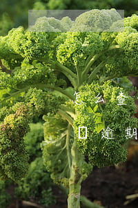 怎么查信用卡是否逾期(怎么查信用卡有沒有過逾期)