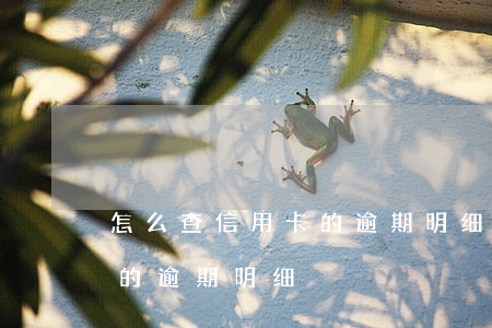 怎么查信用卡的逾期明细电话（怎么查信用卡的逾期明细）
