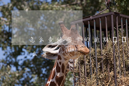 怎么查信用卡的逾期記錄（信用卡逾期記錄怎么算）