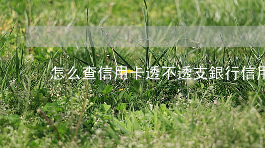 怎么查信用卡透不透支(銀行信用卡透支)