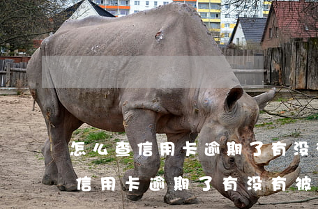 怎么查信用卡逾期了有没有被起诉-怎么查信用卡逾期了有没有被起诉了