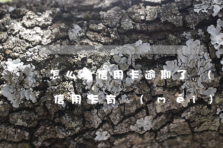 怎么查信用卡逾期了沒(méi)有(怎么查信用卡有沒(méi)有逾期)
