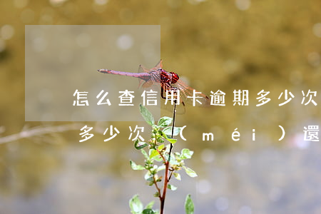 怎么查信用卡逾期多少次(怎么查信用卡逾期多少次沒(méi)還)