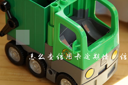 怎么查信用卡逾期情況（信用卡逾期申訴表）