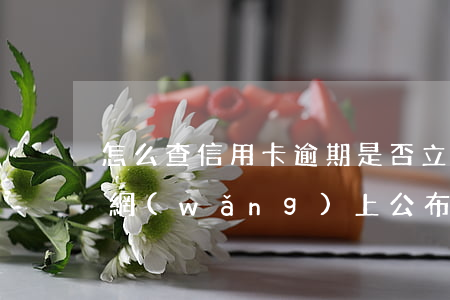 怎么查信用卡逾期是否立案了（信用卡逾期要網(wǎng)上公布）