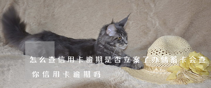 怎么查信用卡逾期是否立案了（办储蓄卡会查你信用卡逾期吗）