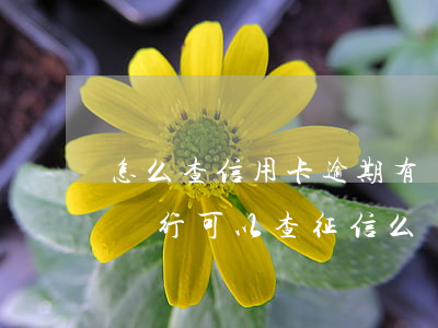 怎么查信用卡逾期有沒有上征信（信用卡逾期銀行可以查征信么）