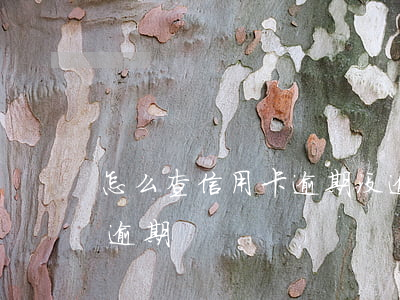 怎么查信用卡逾期没逾期(怎么查信用卡是否逾期)