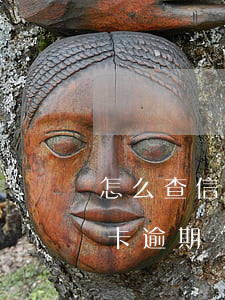 怎么查信用卡逾期立案審查(怎么能查出信用卡逾期)
