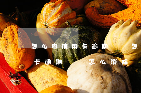 怎么查信用卡逾期記錄怎么消除(征信里信用卡逾期記錄怎么消除)