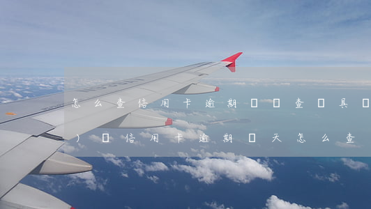 怎么查信用卡逾期記錄查詢具體時(shí)間（信用卡逾期幾天怎么查）