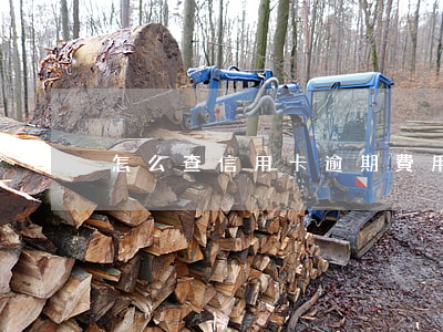 怎么查信用卡逾期費用(怎么查信用卡逾期情況)