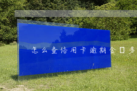 怎么查信用卡逾期金額多少