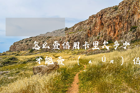 怎么查信用卡里欠多少錢(qián)（怎么才能查詢(xún)信用卡欠多少錢(qián)）