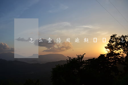 怎么查信用逾期記錄-怎么查信用逾期記錄