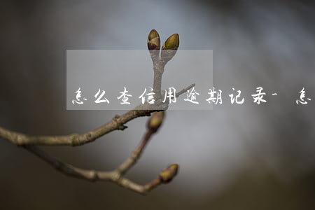 怎么查信用逾期记录-怎么查信用逾期记录