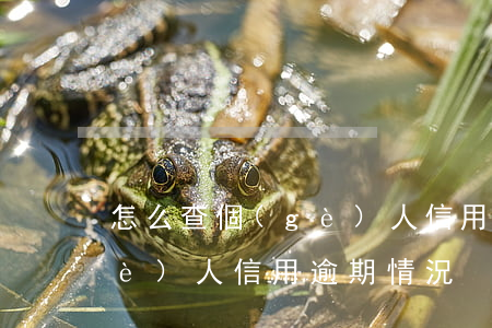 怎么查個(gè)人信用逾期(怎么查個(gè)人信用逾期情況)