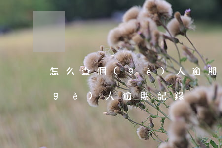 怎么查個(gè)人逾期記錄(怎么查一個(gè)人逾期記錄)