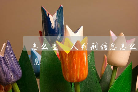 怎么查個人判刑信息(怎么查找被判刑人員信息)