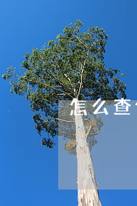 怎么查個人有沒有欠用錢寶