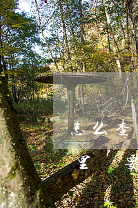 怎么查個人檔案在哪里(怎么查個人檔案在哪里還要收費哦)
