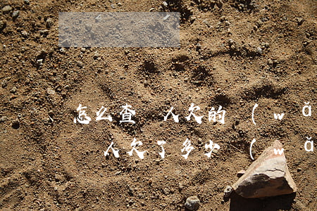 怎么查個人欠的網(wǎng)貸(怎樣查這個人欠了多少網(wǎng)貸)