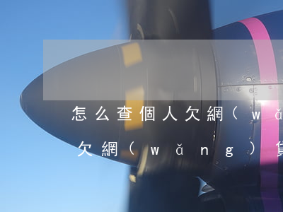 怎么查個人欠網(wǎng)貸(怎么查自己欠網(wǎng)貸)
