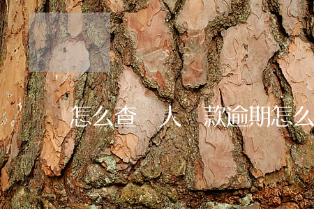 怎么查個人還款逾期(怎么查個人還款記錄)