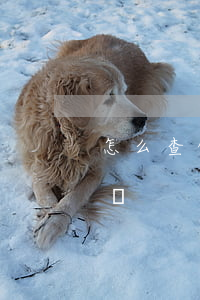 怎么查借唄還欠多少錢(怎樣知道借唄欠多少錢)