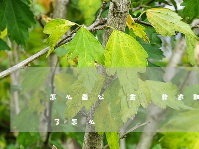 怎么查公積金還款逾期(住房公積金貸款逾期了怎么還)