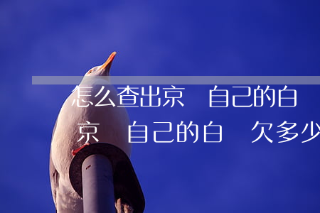 怎么查出京東自己的白條欠多少-怎么查出京東自己的白條欠多少錢