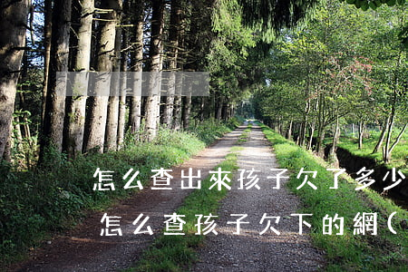 怎么查出來孩子欠了多少網(wǎng)貸(怎么查孩子欠下的網(wǎng)貸)