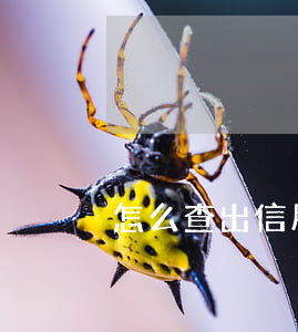 怎么查出信用卡逾期記錄