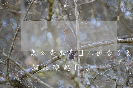 怎么查出某個人被告了(怎么查一個人是不是被法院起訴了)