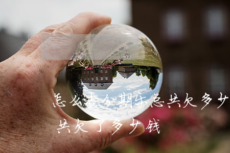 怎么查分期乐总共欠多少(怎么样看分期乐一共欠了多少钱)