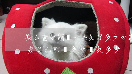 怎么查分期樂一共欠了多少(分期樂貸款怎么查自己已還多少還欠多少)