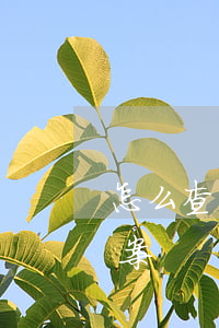 怎么查別人有沒有案件(怎么查別人有沒有立案)