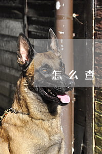 怎么查別人的網(wǎng)貸欠了多少錢