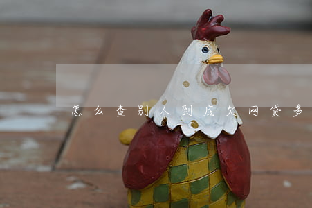 怎么查别人到底欠网贷多少钱