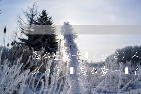 怎么查到一個(gè)人欠了多少網(wǎng)貸(怎么查一個(gè)人網(wǎng)貸欠款)