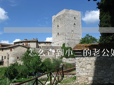 怎么查到小三的老公(如何查到小三老公信息)
