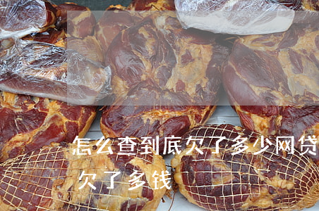 怎么查到底欠了多少网贷(怎么能查出来网贷欠了多钱)