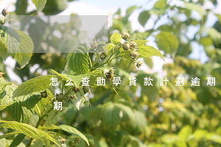 怎么查助學貸款計劃逾期(助學貸款怎樣算逾期)