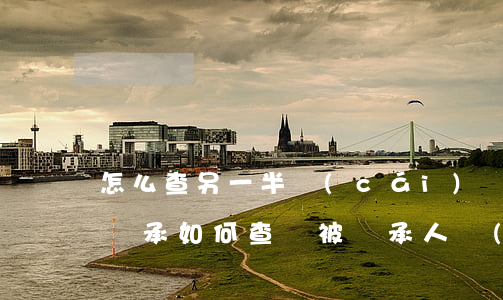 怎么查另一半財(cái)產(chǎn)繼承(如何查詢被繼承人財(cái)產(chǎn))