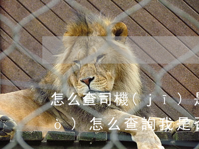 怎么查司機(jī)是否有被起訴過(guò)(怎么查詢我是否被起訴)