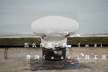 怎么查員工有沒(méi)有犯罪記錄(如何查詢(xún)員工是否有犯罪記錄)